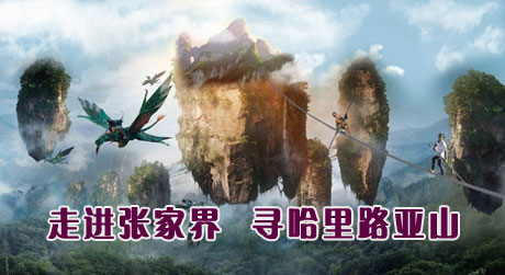  C5ҽԬҽ硢ҽɽռ